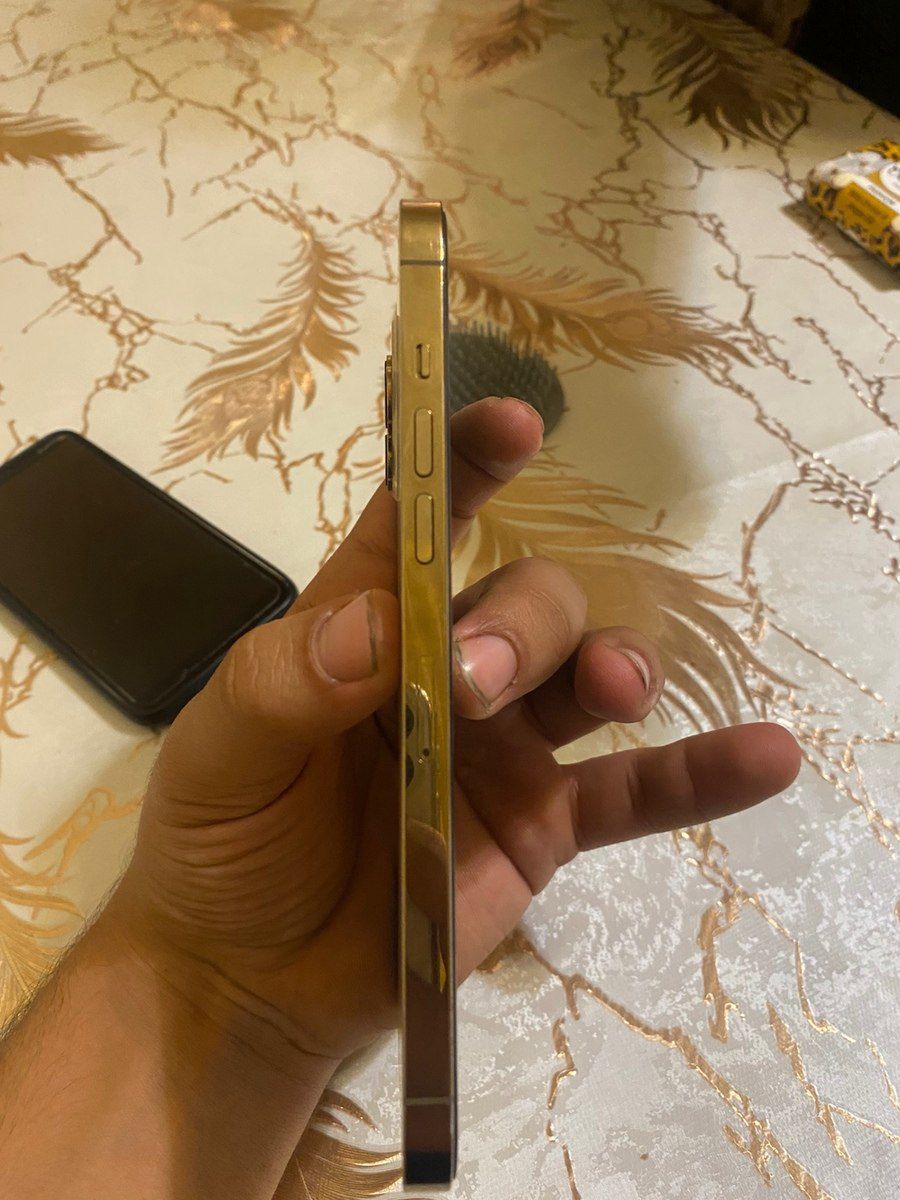 Apple iPhone 12 Pro Max Gold 128GB/6GB — Smartfonlar, Bərdə (5)