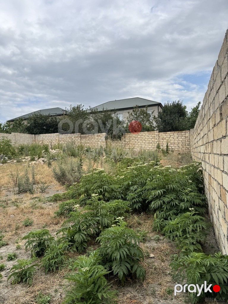 Quba rayonunda 5 sotlu torpaq sahəsi - Dəvəbadan massivi — Torpaq, Quba (6)