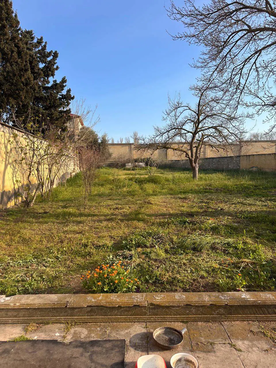 26 sot torpaq sahəsi satılır — Bakı