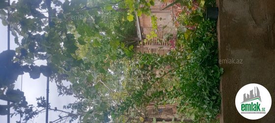 Satılır 3 otaqlı 3 m² həyət evi Binəqədi r — Ev, villa (8)