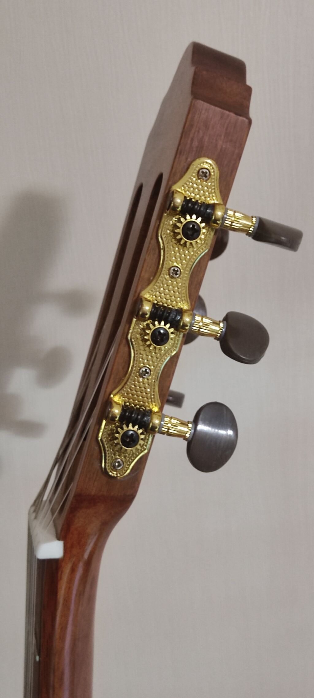 Naylon simli klassik "Cort" gitara - Klavatura: marker nöqtələri ilə — Gitarlar və digər simli alətlər, Bakı (4)