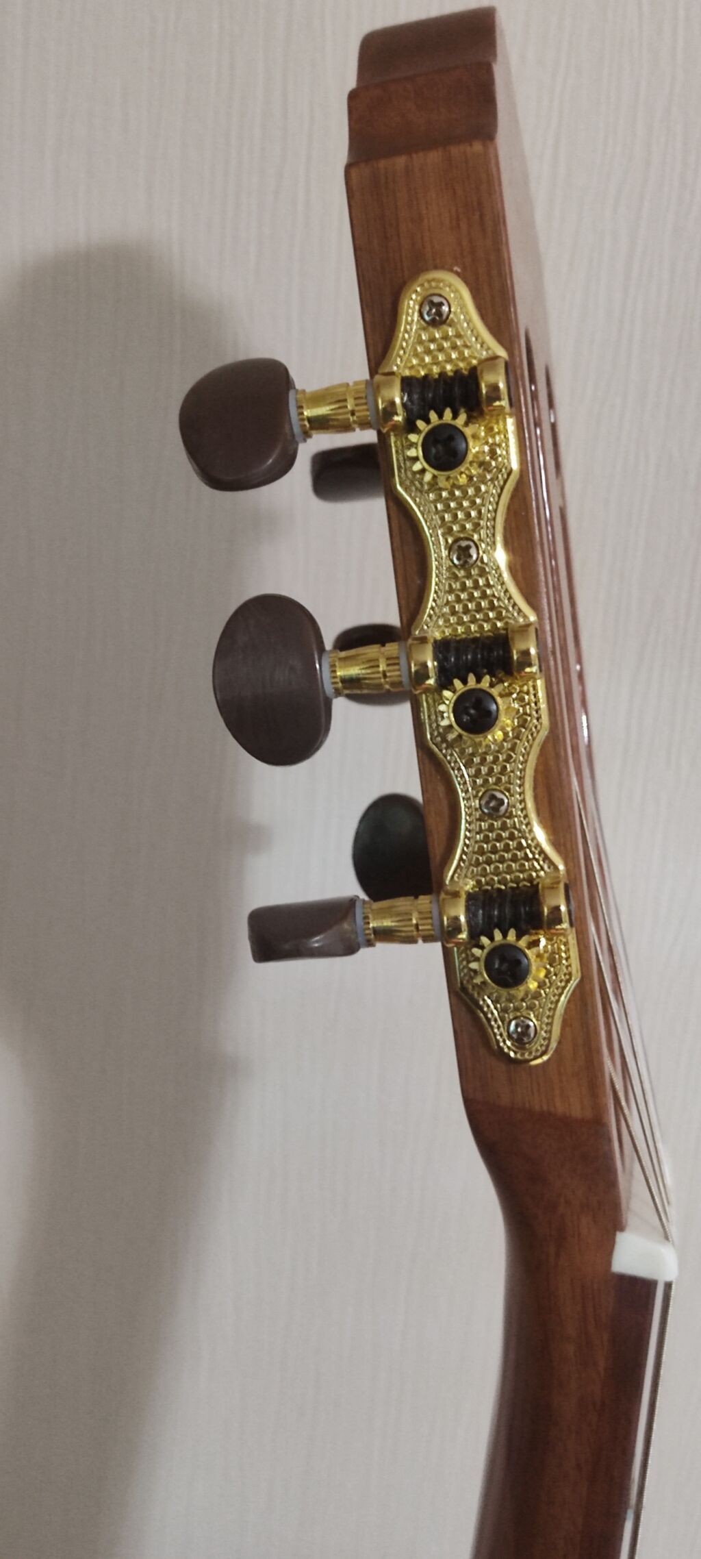 Naylon simli klassik "Cort" gitara - Klavatura: marker nöqtələri ilə — Gitarlar və digər simli alətlər, Bakı (3)