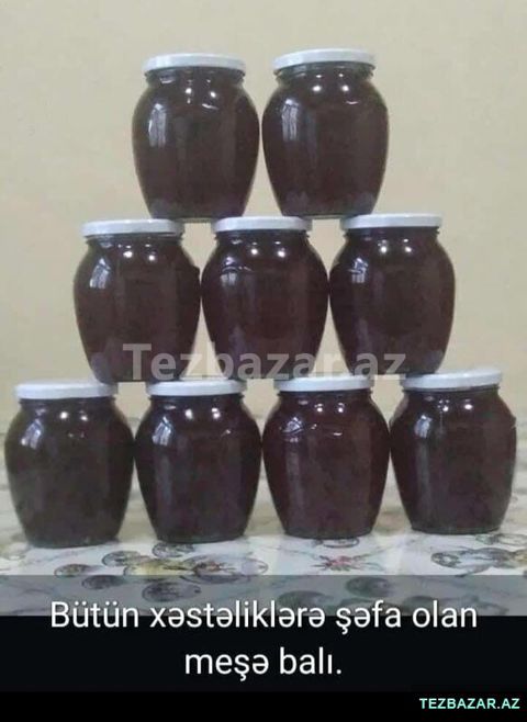 Temiz meşe balı isteyen müraciet etsin — Bakı