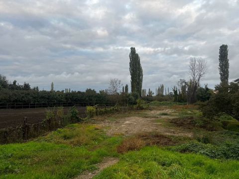 24 sot, Tikinti, Mülkiyyətçi, Kupça (Çıxarış) — Xudat