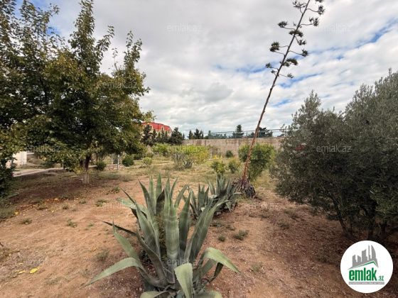 Satılır 12 sot torpaq Şüvəlan — Torpaq (8)