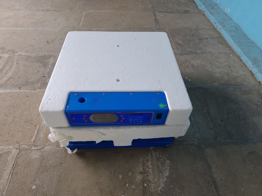 Expertı avtomatik 62 yumurtaliq inkubatoru. inkubatorun rolikləri — Kənd təsərrüfatı avadanlığı, Digah (7)