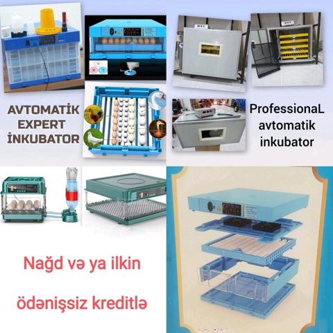Avtomatik inkubatorlar — Bakı