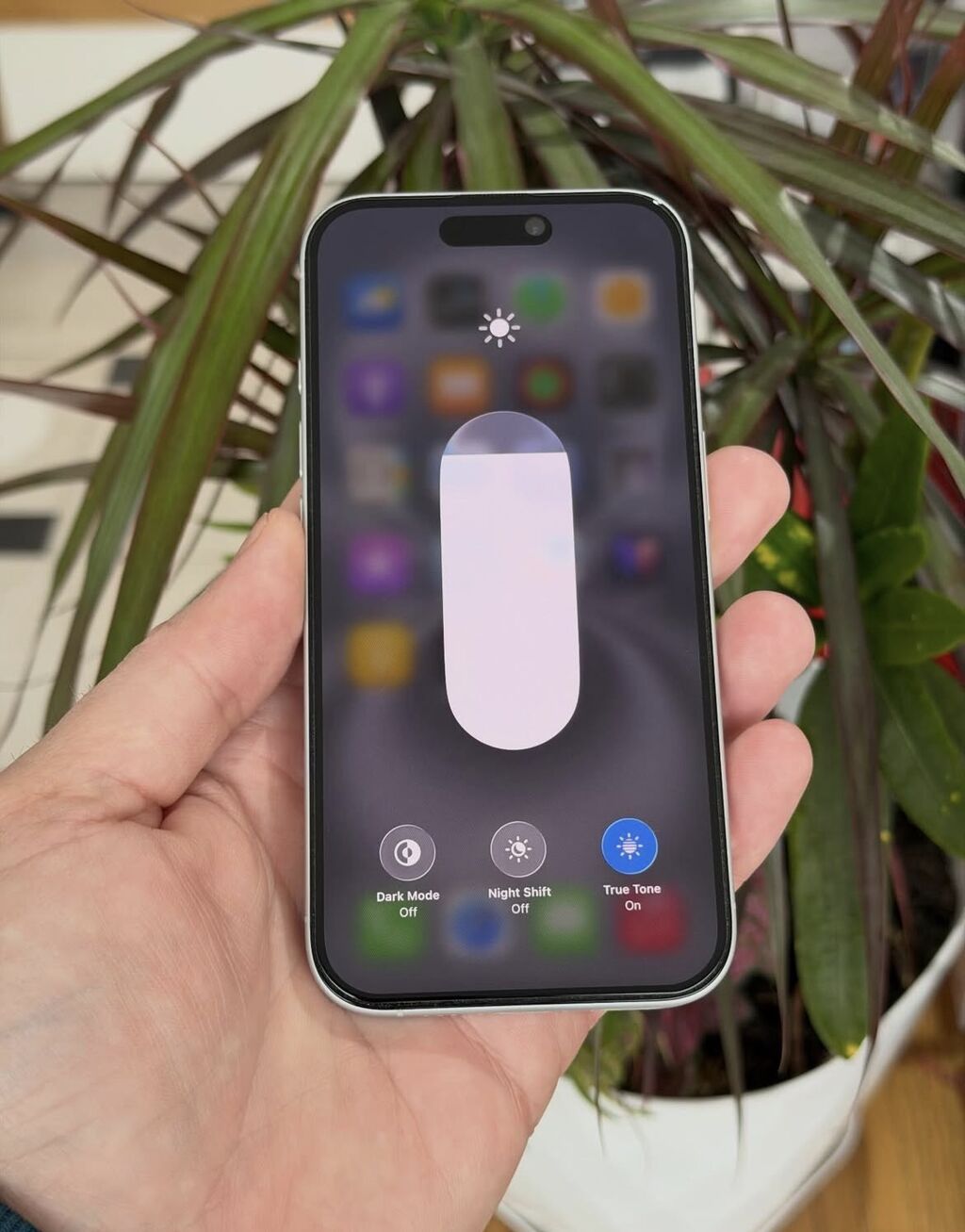 IPhone 16, 128 GB, Ağ, Zəmanət, Simsiz şarj, Face ID — Apple iPhone, Bakı (4)