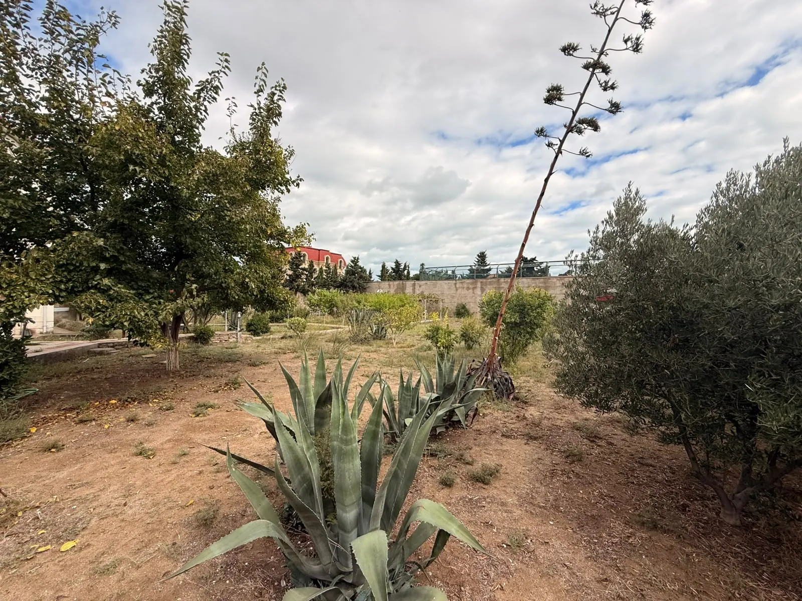 Şüvəlan, Torpaq satılır - 12 sot — Torpaq, Bakı (8)