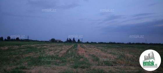 Satılır 150 sot torpaq Bərdə — Torpaq (2)