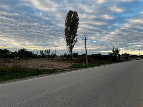 10 sot, Biznes üçün, Mülkiyyətçi, Kupça (Çıxarış) — Xudat