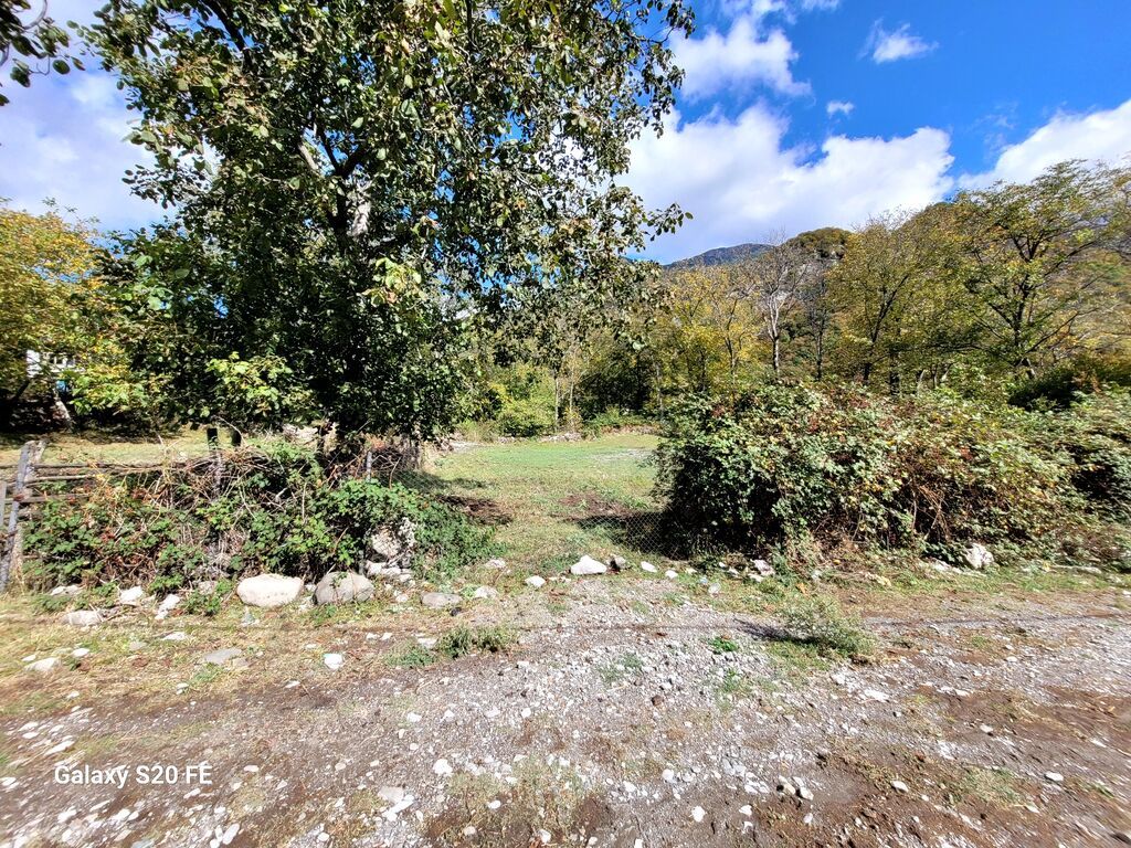 6 sot, Tikinti, Mülkiyyətçi, Kupça (Çıxarış) — Torpaq, Oğuz (6)