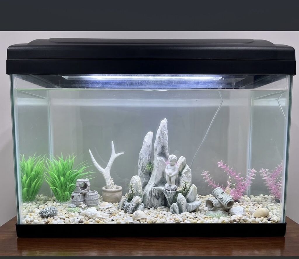 Akvaryum dəsti – şüşə korpuslu, qapaqlı və inteqrə LED işıqlı model — Akvariumlar və balıqlar, Bakı