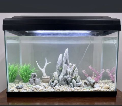 Akvaryum dəsti – şüşə korpuslu, qapaqlı və inteqrə LED işıqlı model — Bakı