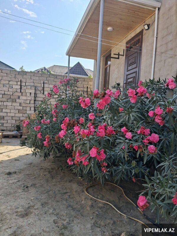 Xəzər rayonunda 3 otaqlı Həyət evi Kirayə verilir, 100 m² — Ev, villa, Bakı (3)