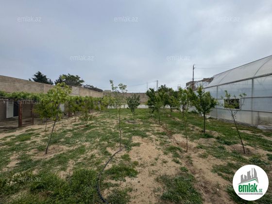 Satılır 13 sot torpaq Şüvəlan — Torpaq (5)