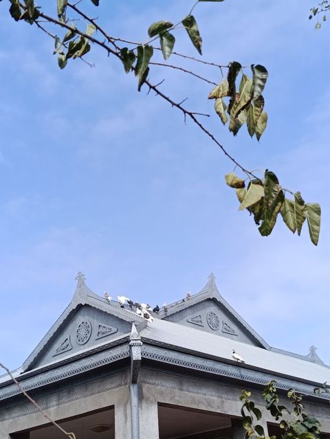 Vaçapa yazn — İmişli
