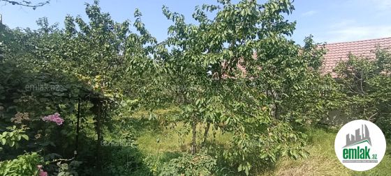 Satılır 5 sot torpaq Quba — Torpaq (5)