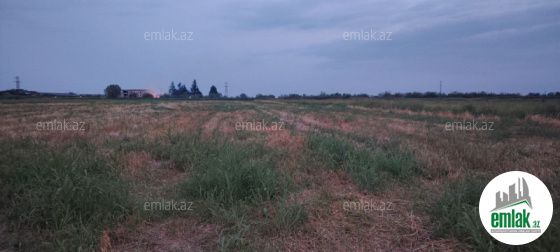 Satılır 150 sot torpaq Bərdə — Torpaq (3)