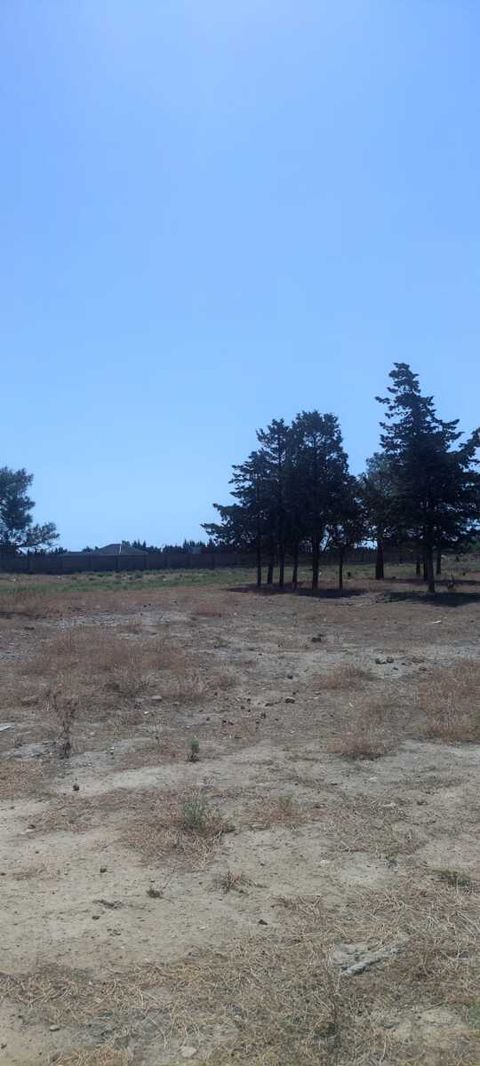 Satılır torpaq 350 sot — Bakı