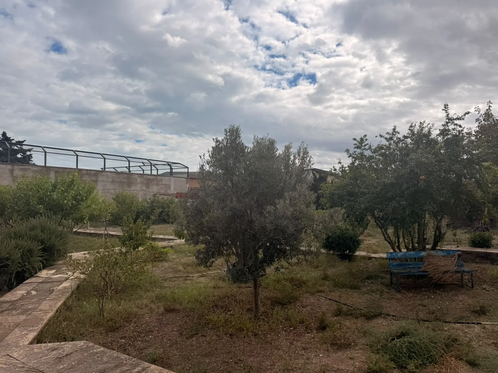 Şüvəlan, Torpaq satılır - 12 sot — Torpaq, Bakı (2)