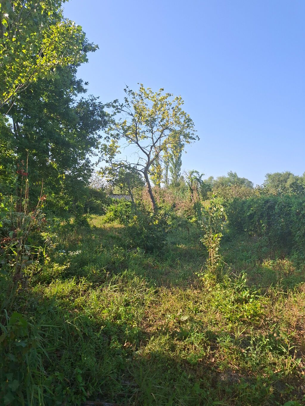3 otaqlı, 45 kv. m, Təmirsiz — Ev, villa, Xaçmaz (7)