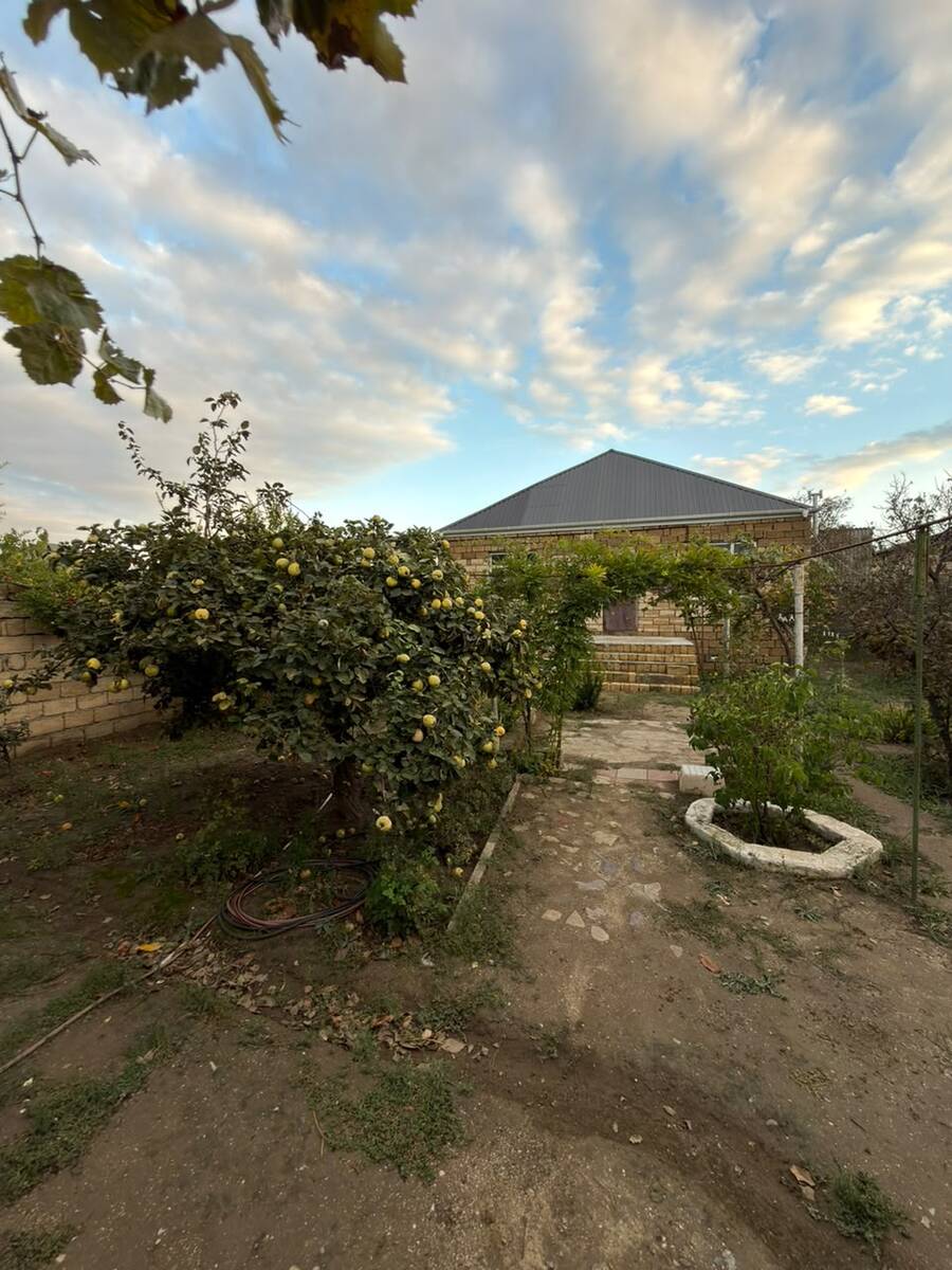 Satılır torpaq 9 sot — Torpaq, Bakı (4)