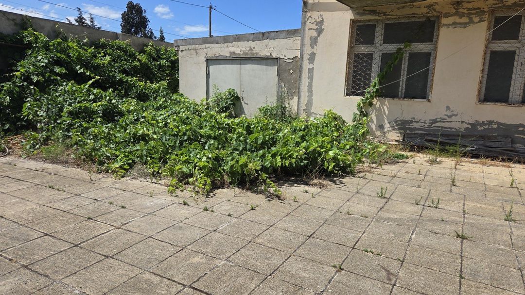 Satılır 4 otaqlı həyət evi/bağ evi 350 m² — Ev, villa, Bakı (6)