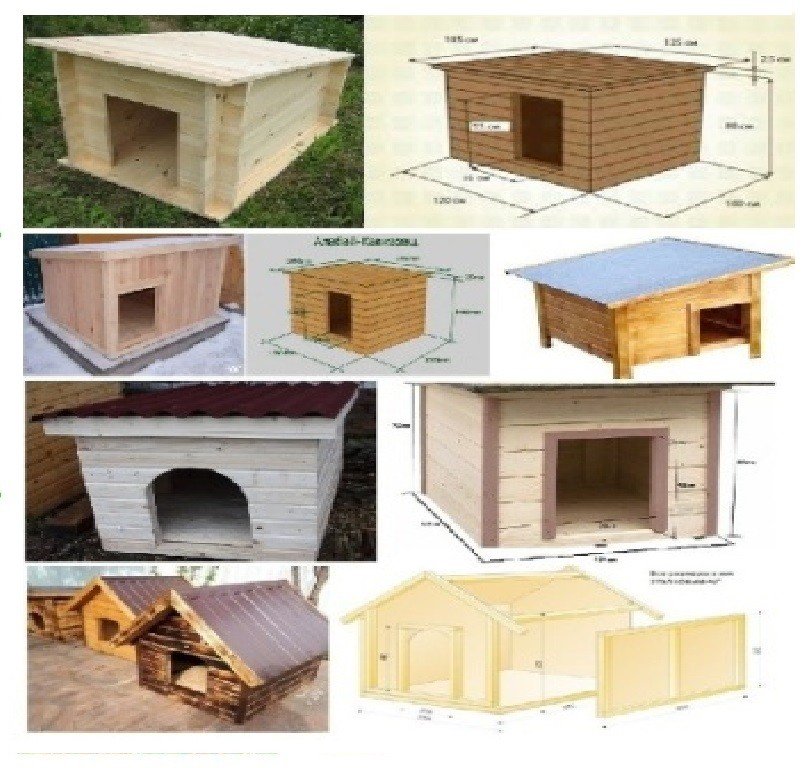 Cücə üçün Bruder. Toyuq Hini — Tibbi avadanlıqlar, Bakı (8)