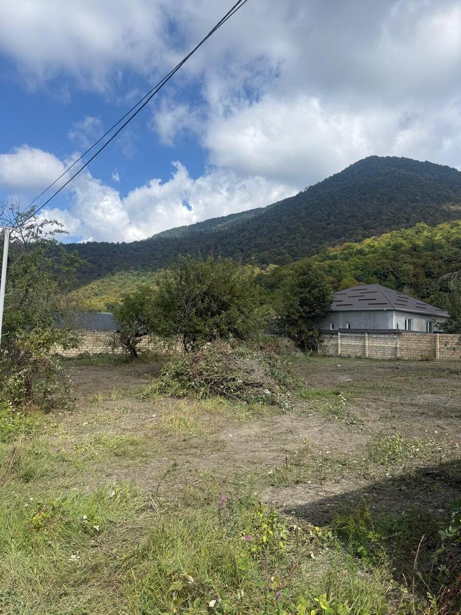 Satılır torpaq 10 sot — Torpaq, Qəbələ (3)