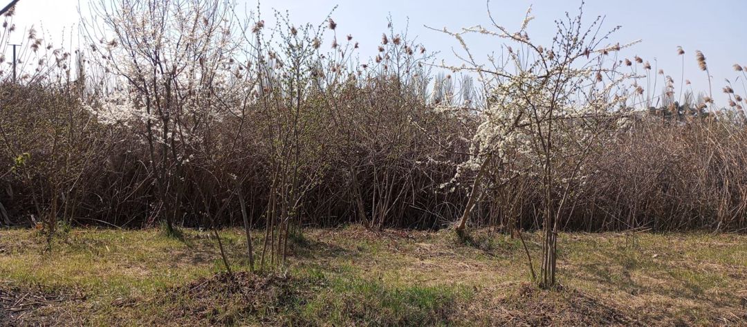 9 sot torpaq sahəsi, Xaçmaz r — Torpaq, Xaçmaz (3)