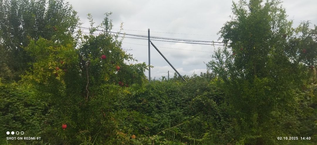 15 sot torpaq sahəsi, Ağdaş r — Torpaq, Ağdaş (8)