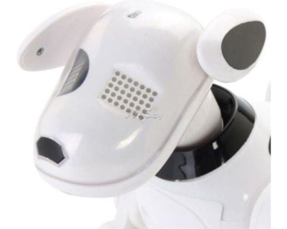 Oyuncaq robotlar — Oyuncaqlar, Bakı (12)