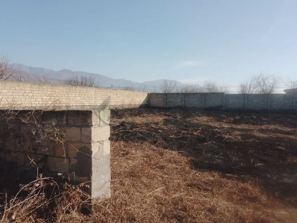 8 sot Torpaq Satılır, Şəki — Torpaq, Şəki (2)