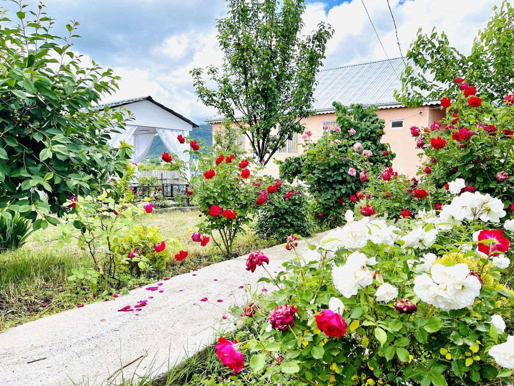 İcarəyə verilir 4 otaqlı həyət evi/bağ evi 100 m² — Ev, villa, İsmayıllı (7)