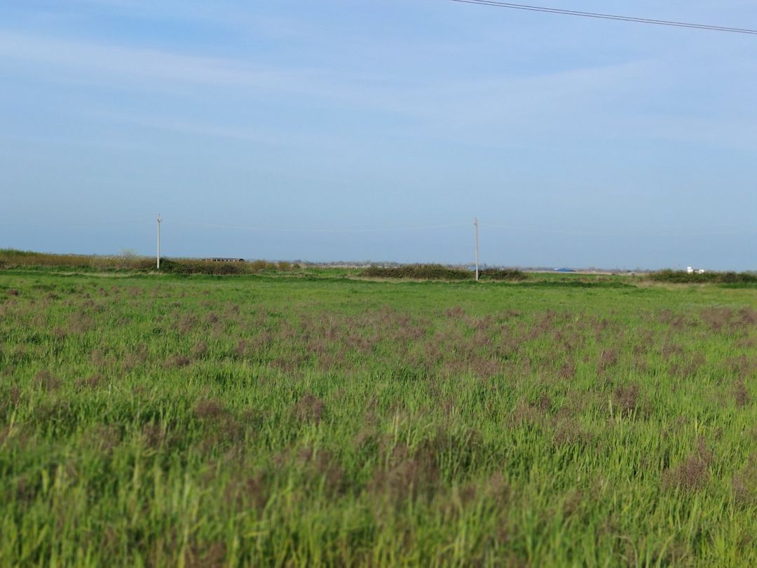 1400 sot torpaq sahəsi, Xaçmaz r — Torpaq, Xaçmaz (3)