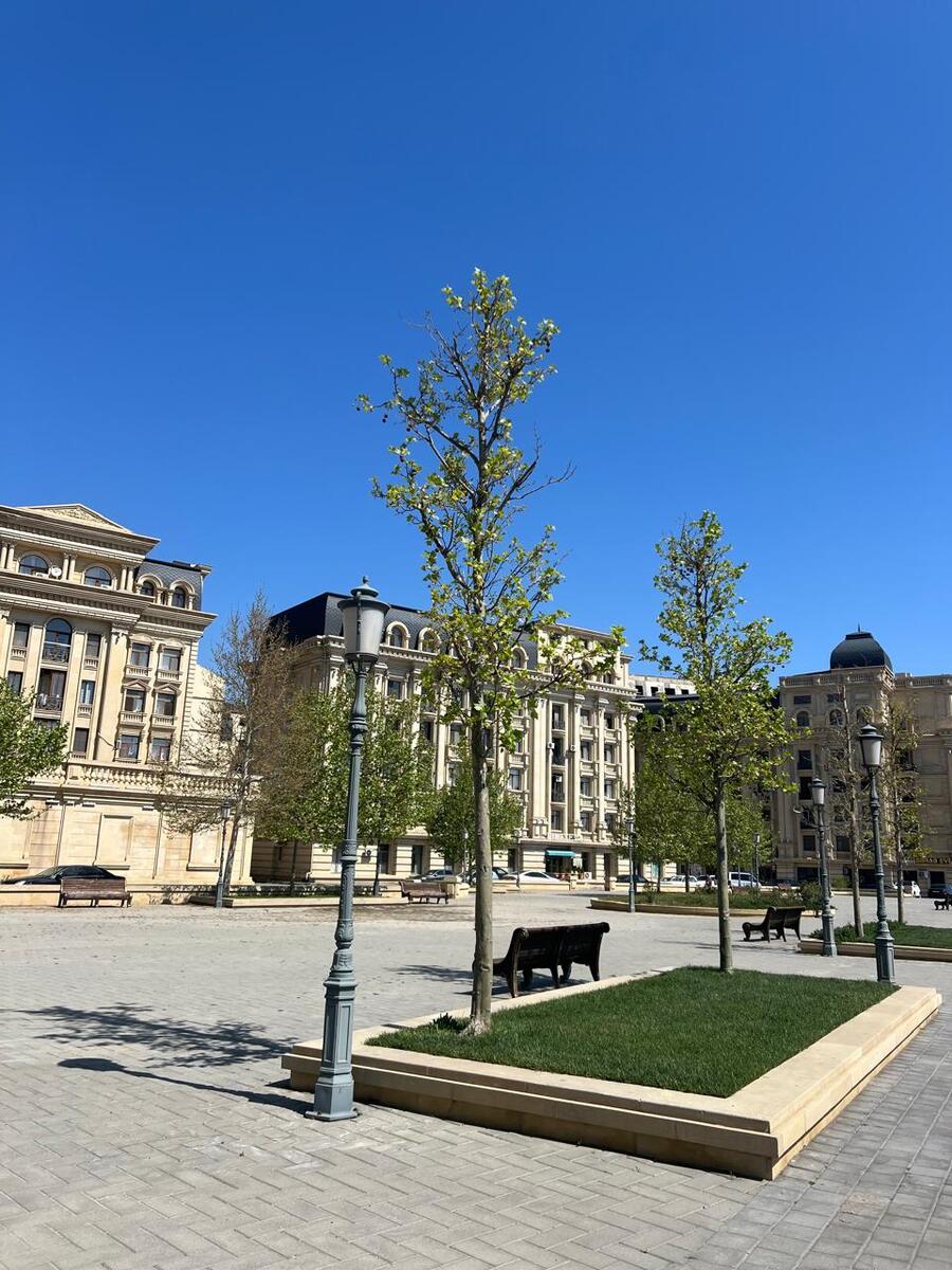 5-otaqlı yeni tikili, Bayıl qəs., 216 m² — Mənzil, Bakı (6)