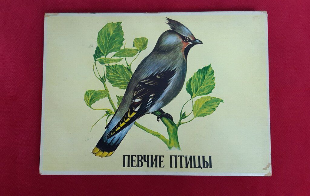 Набор сувенирных спичек — Kolleksiyalar, Bakı (4)