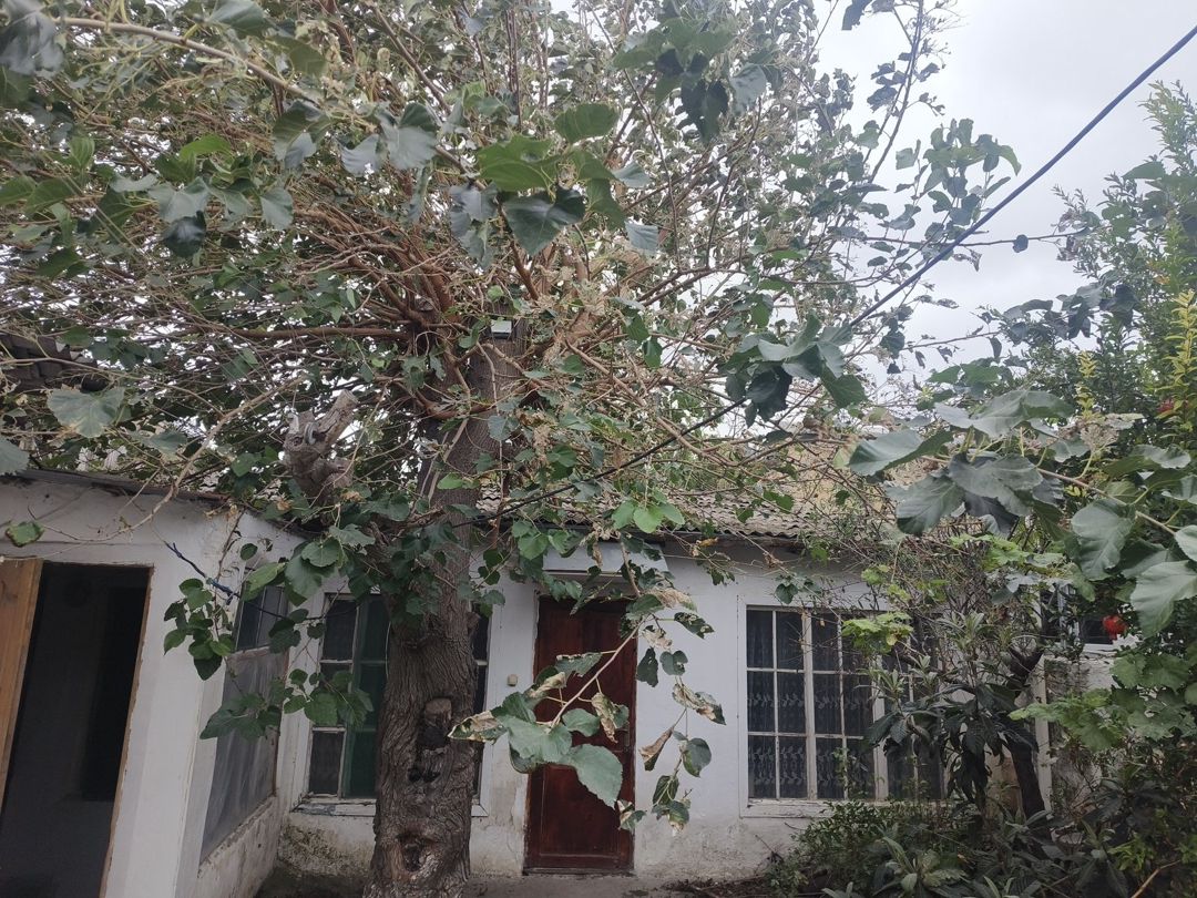Satılır 5 otaqlı həyət evi/bağ evi 125 m² — Ev, villa, Bakı (3)