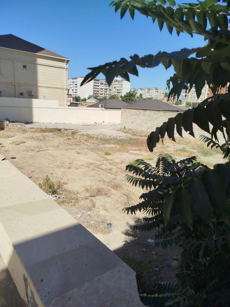 Satılır torpaq 6 sot — Torpaq, Bakı (4)