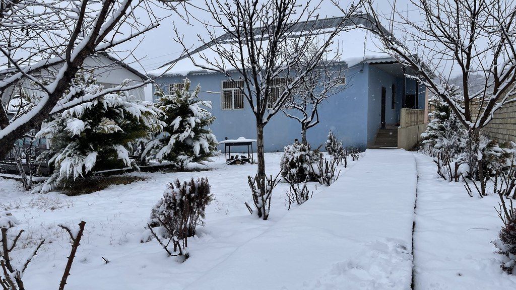 İcarəyə verilir 4 otaqlı həyət evi/bağ evi 100 m² — Ev, villa, İsmayıllı (11)