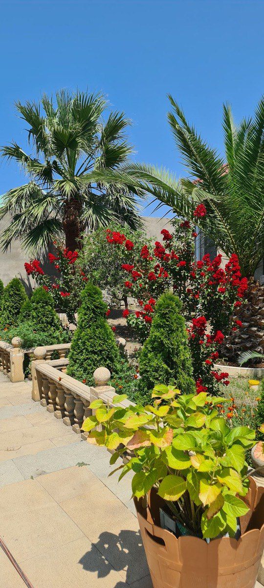 Satılır 7 otaqlı həyət evi/bağ evi 390 m² — Ev, villa, Bakı (6)