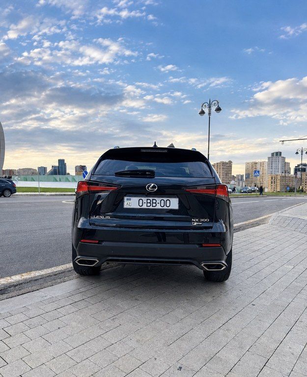 Lexus NX 300, 2.0 L, 2019 il, 258 000 km — Avtomobillər, Bakı (4)