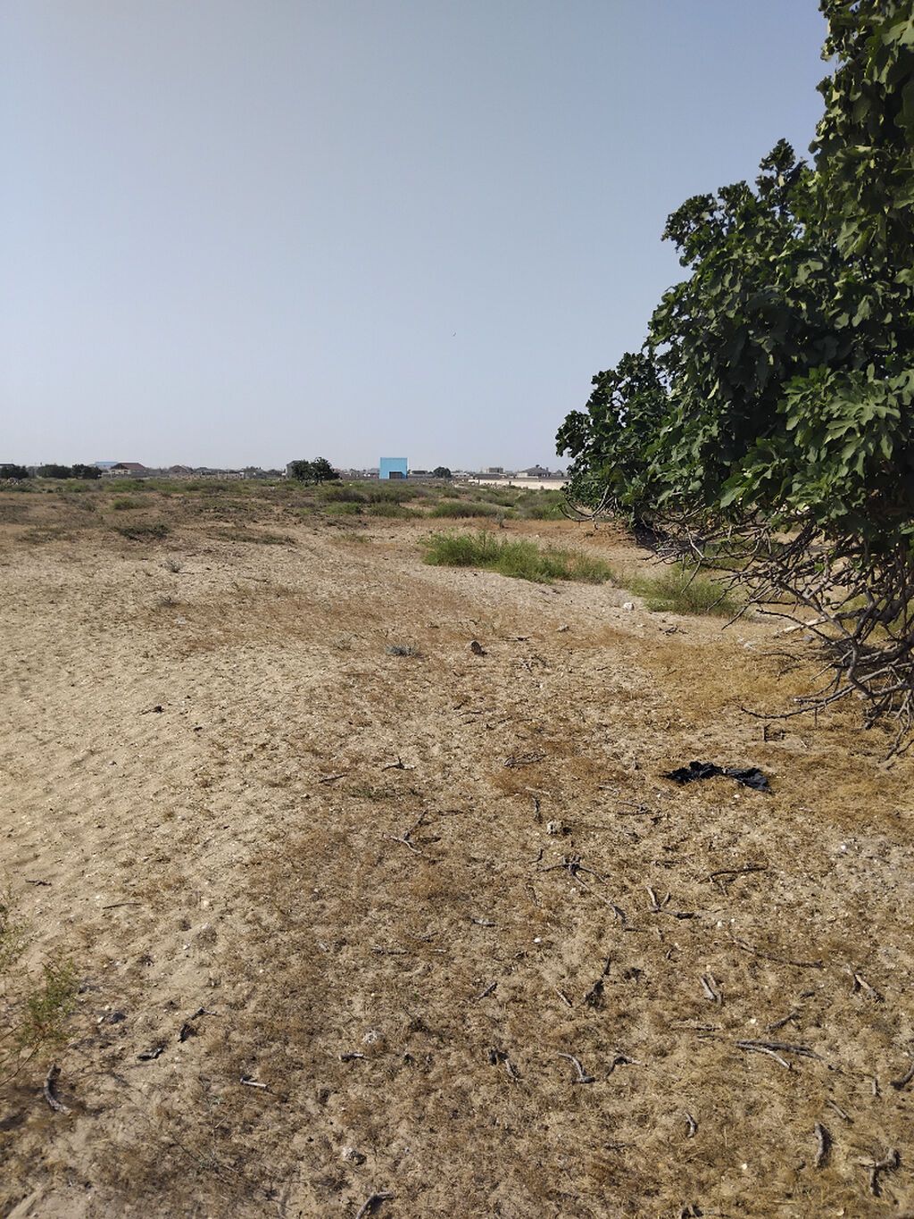 Turkan qes.Qizilqumda.denizden 180 metr arali.Denize panarama goruntu — Torpaq, Bakı (5)
