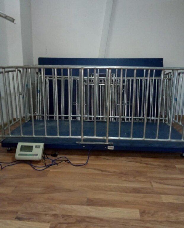 Tərəzi — Biznes və avadanlıq, Bakı (4)