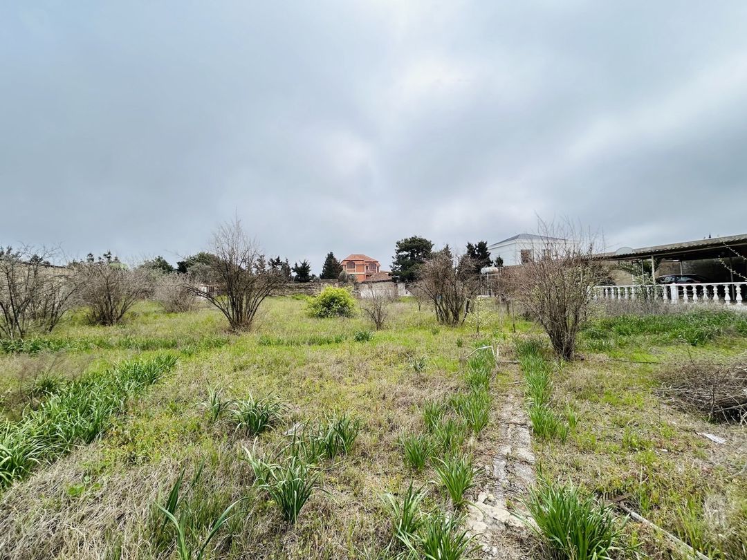 Satılır torpaq 29 sot — Torpaq, Bakı (2)