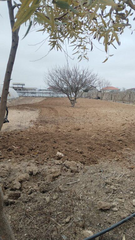 Torpaqların bellənməsi, şumlanması — Digər, Bakı (10)