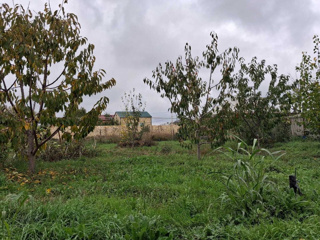 Satılır torpaq 6 sot — Torpaq, Quba (5)