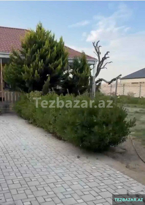 Albalılıqda həyət evi satılırrr — Ev, villa, Bakı (9)