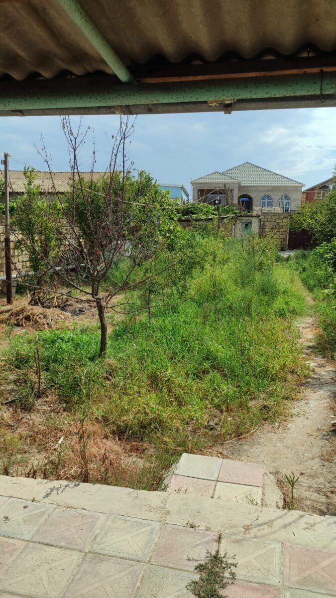 4.5 sot torpaq sahəsi, Corat qəs — Torpaq, Sumqayıt